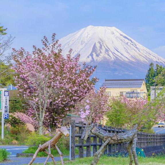 青风堂