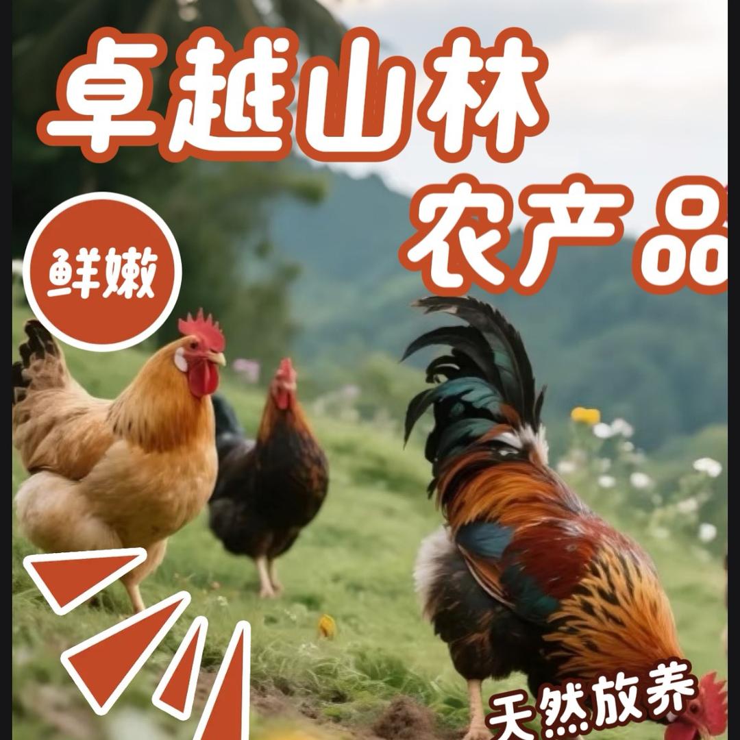 电白山林农产品
