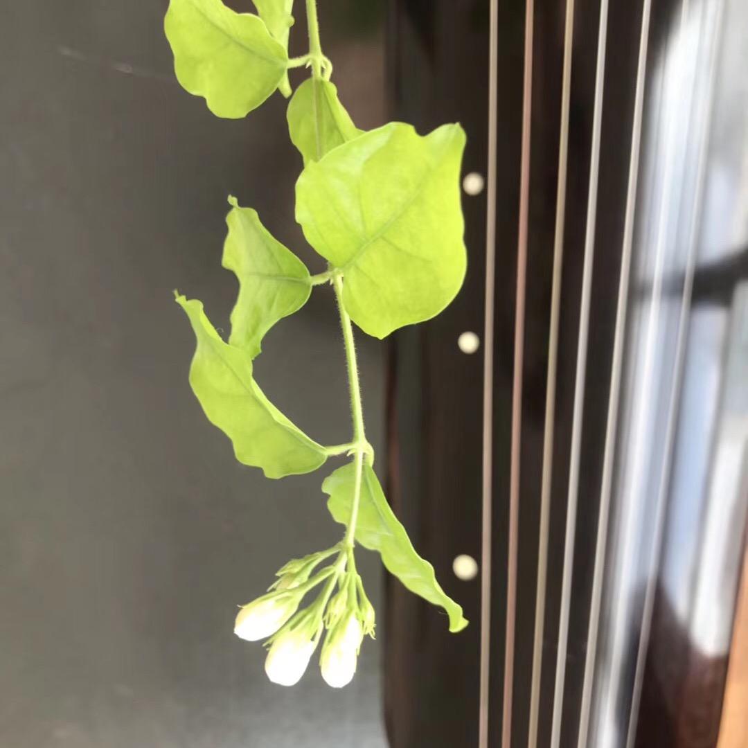 找美好