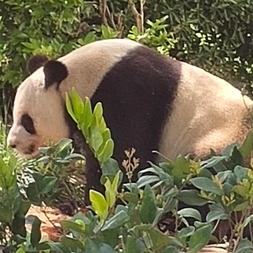 你一定要幸福