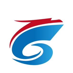 陕西龙宸人力资源有限公司