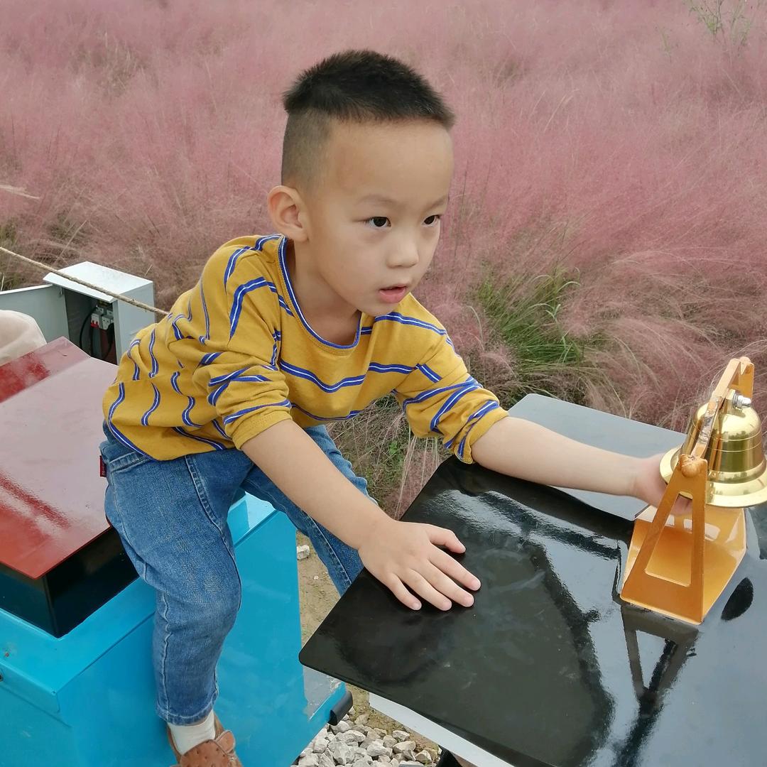 舍得