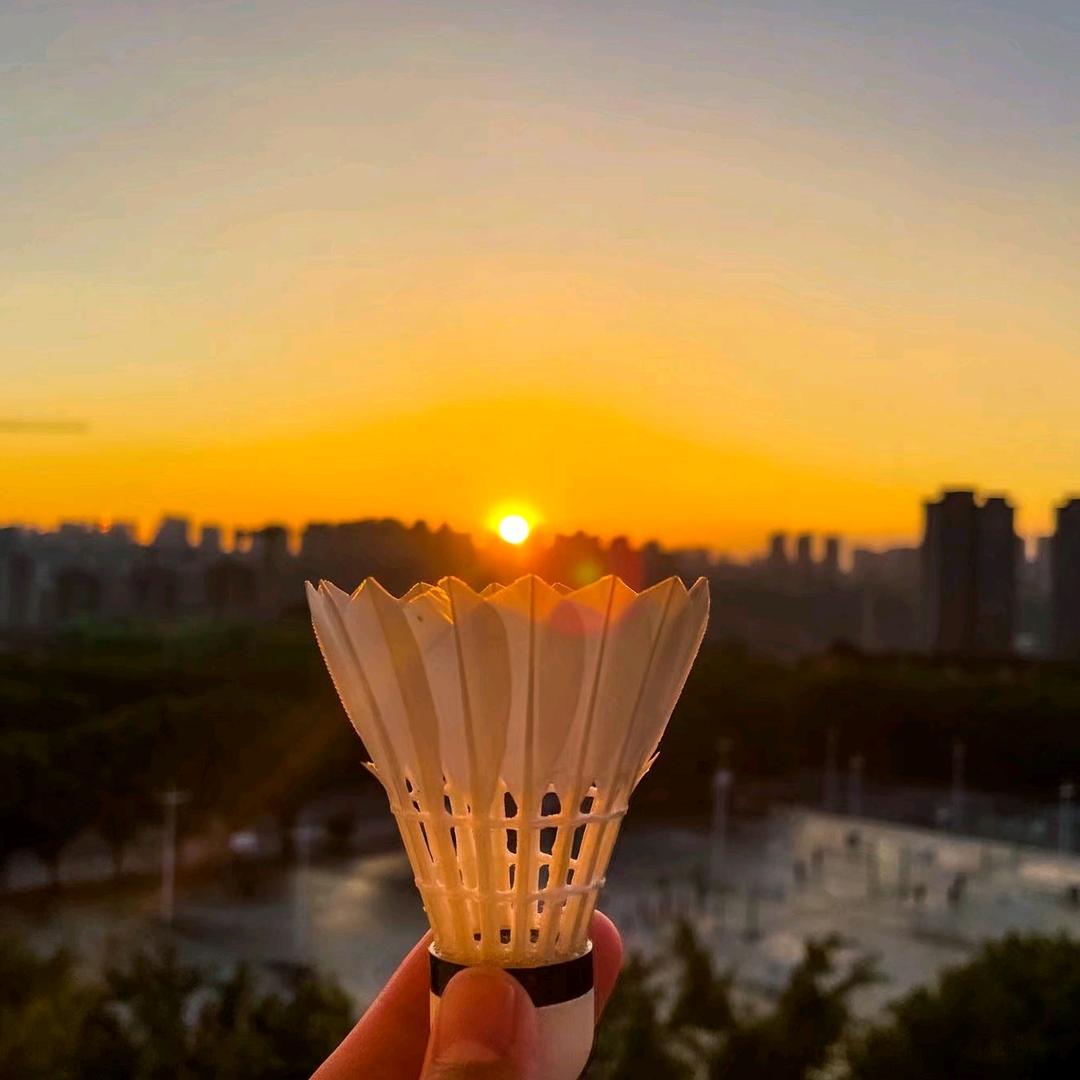 醉梦吟风月