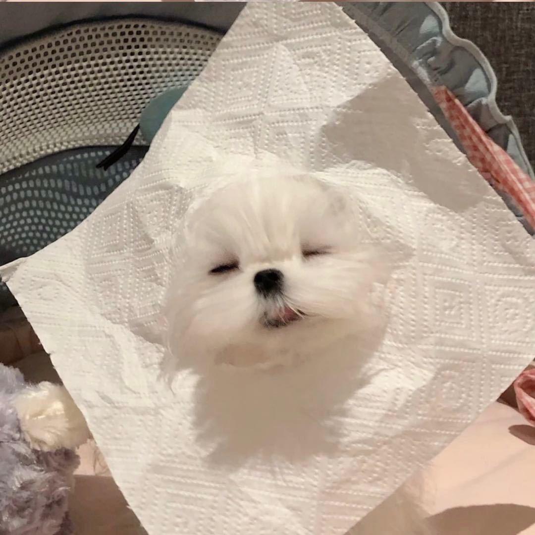 小酒的魔法铺