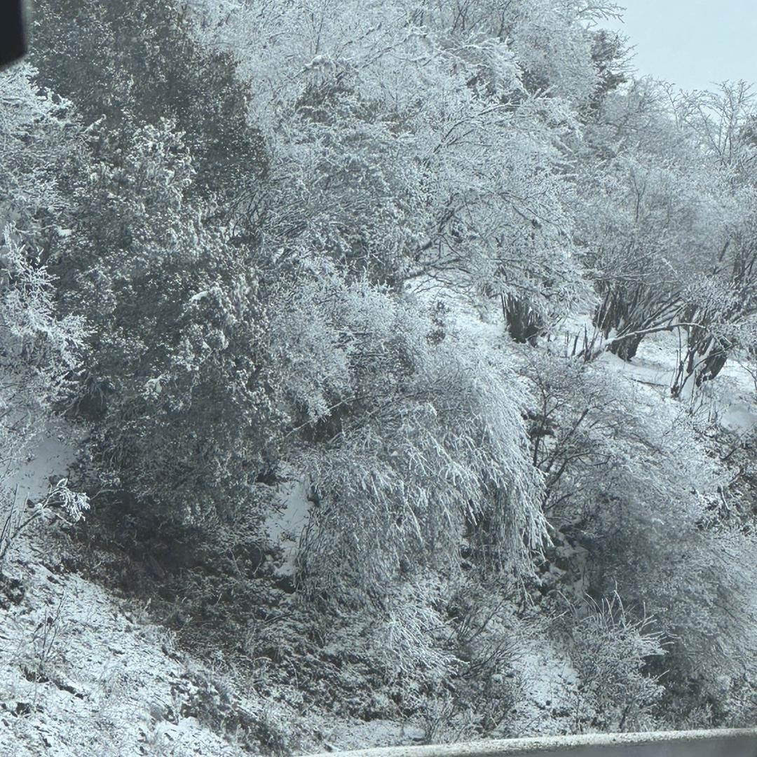 佳成线切割加工福娃大直播号