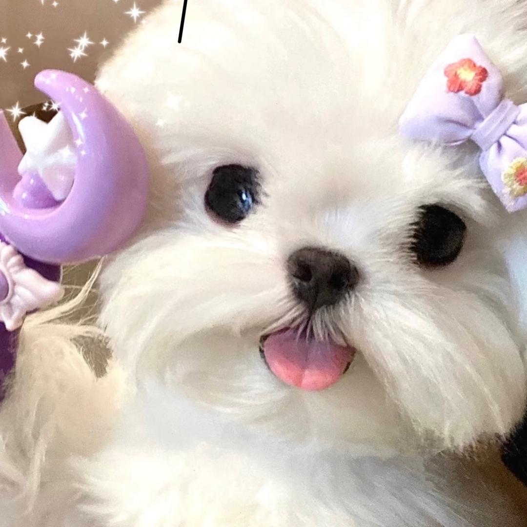 小元妹妹
