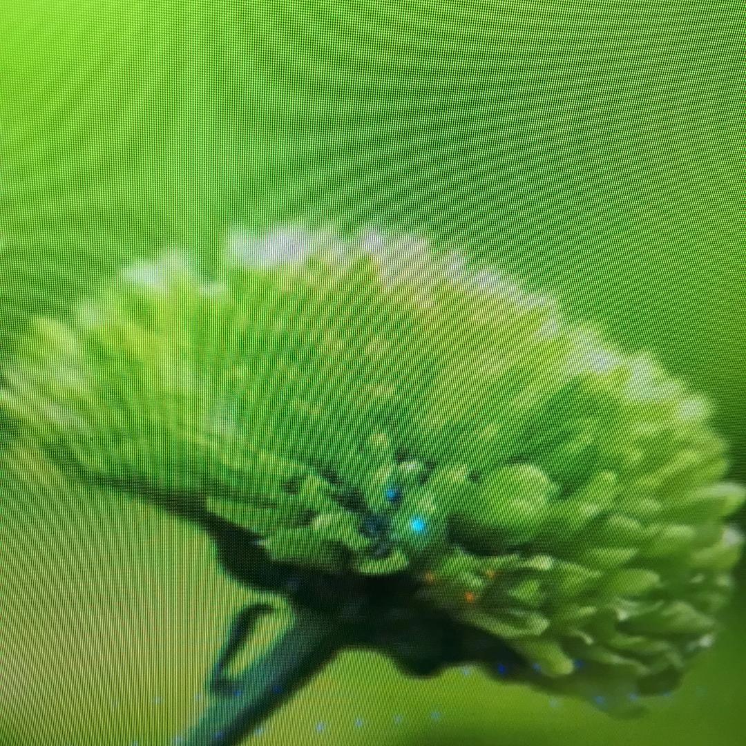 相约98