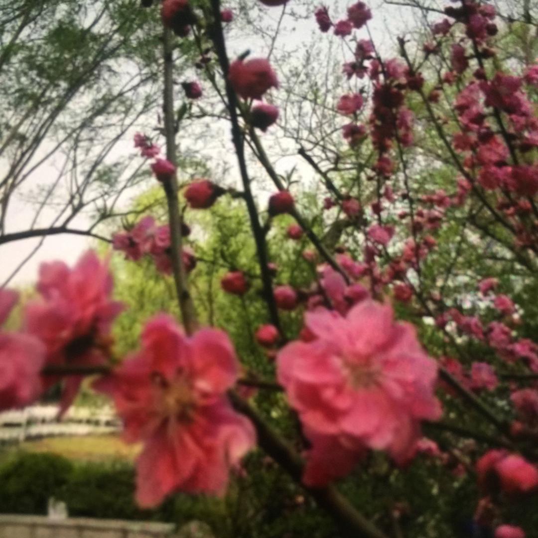 琳琳好物及剪辑(以诚相待)