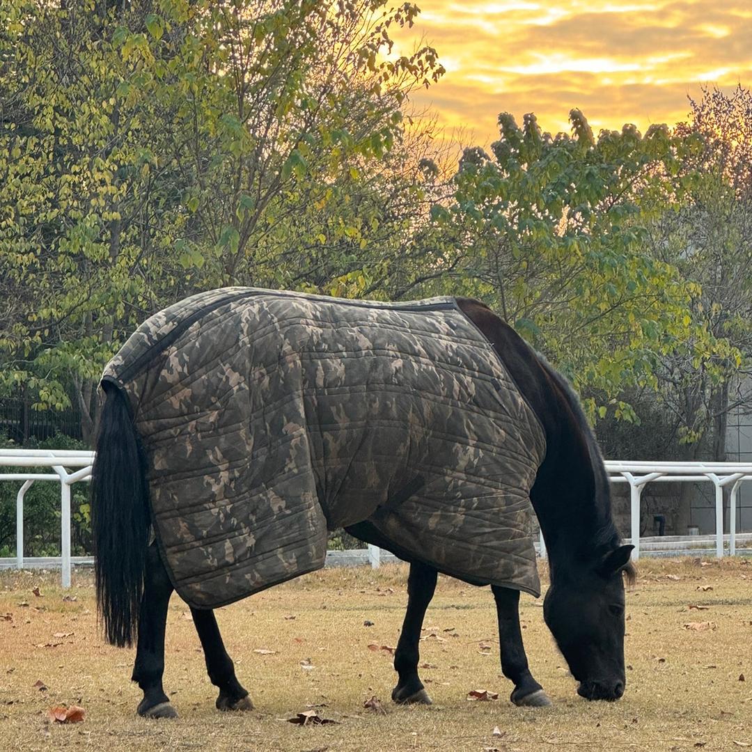 🐎青和琳🏇