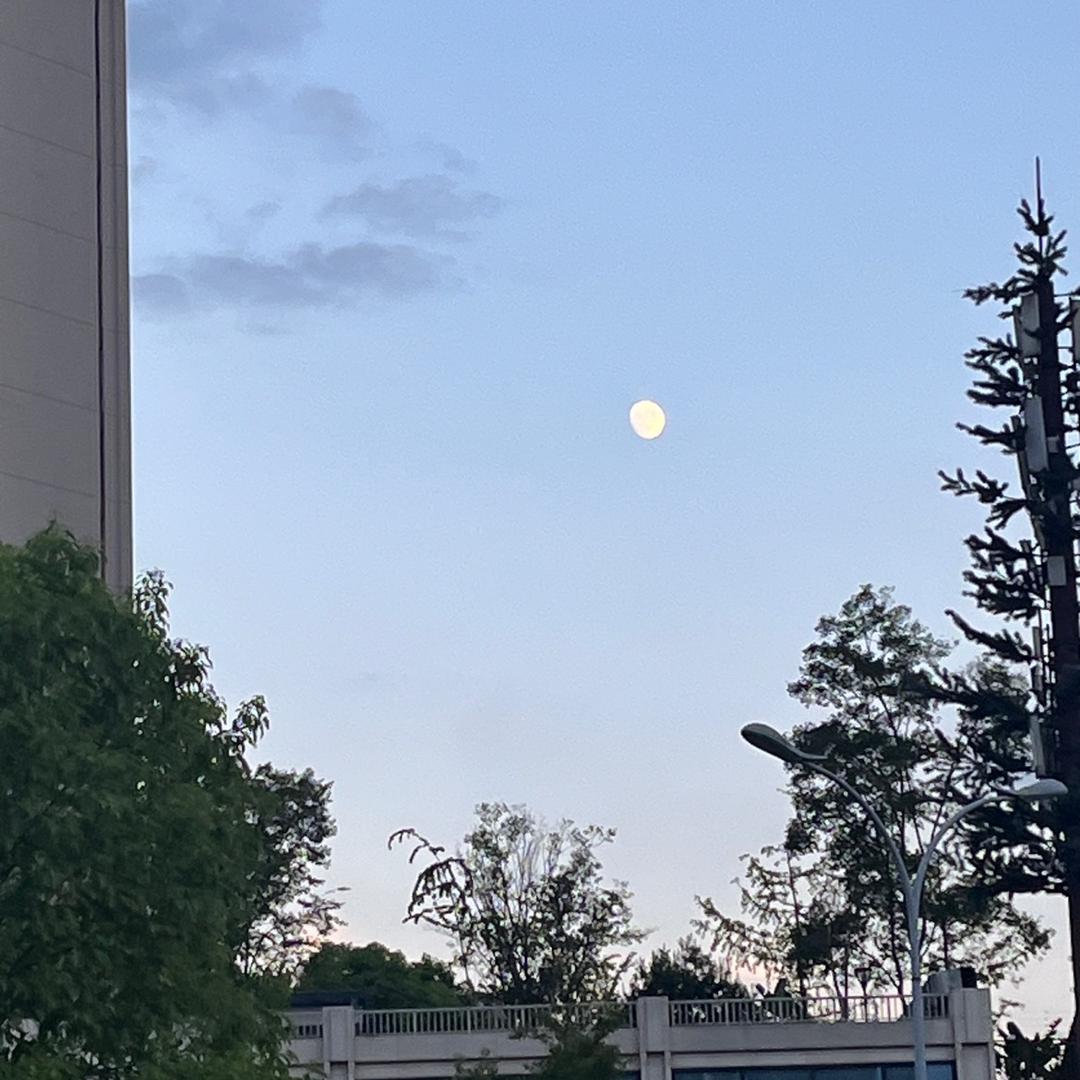 绿豆🫒种菜