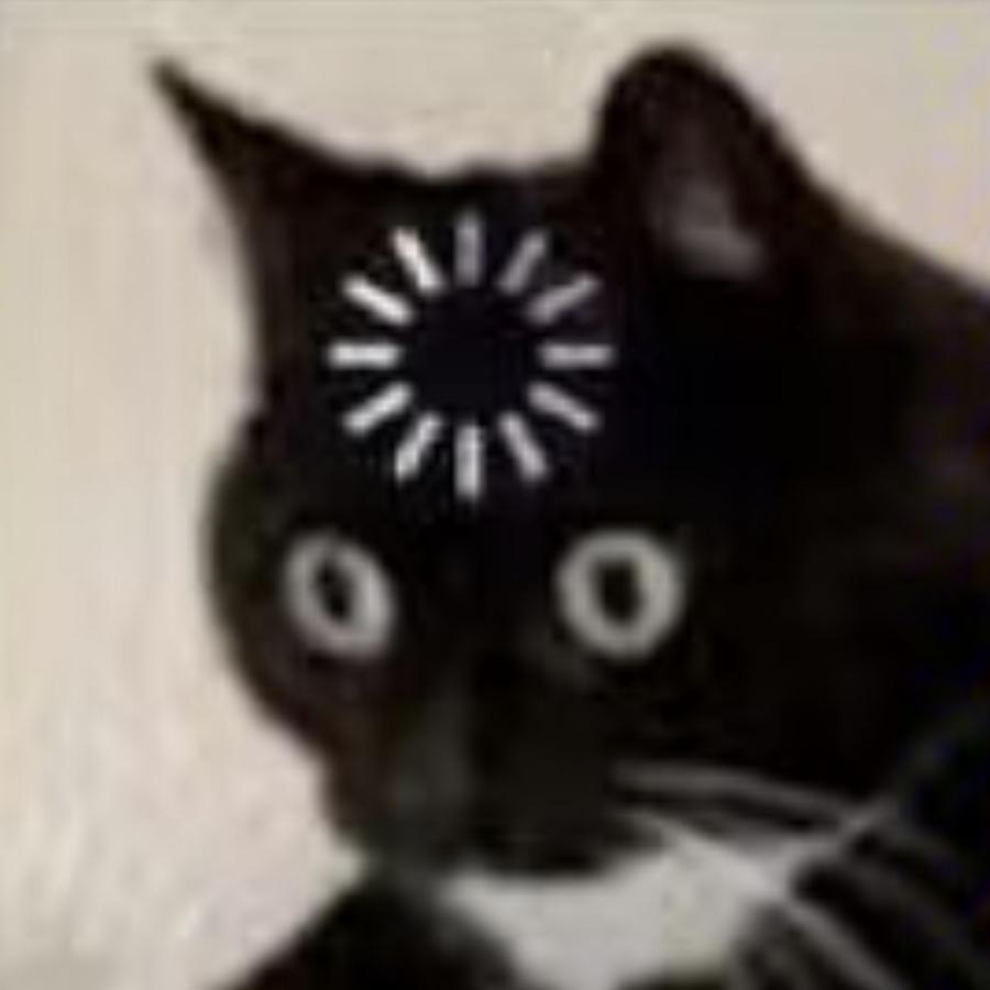 未来之星