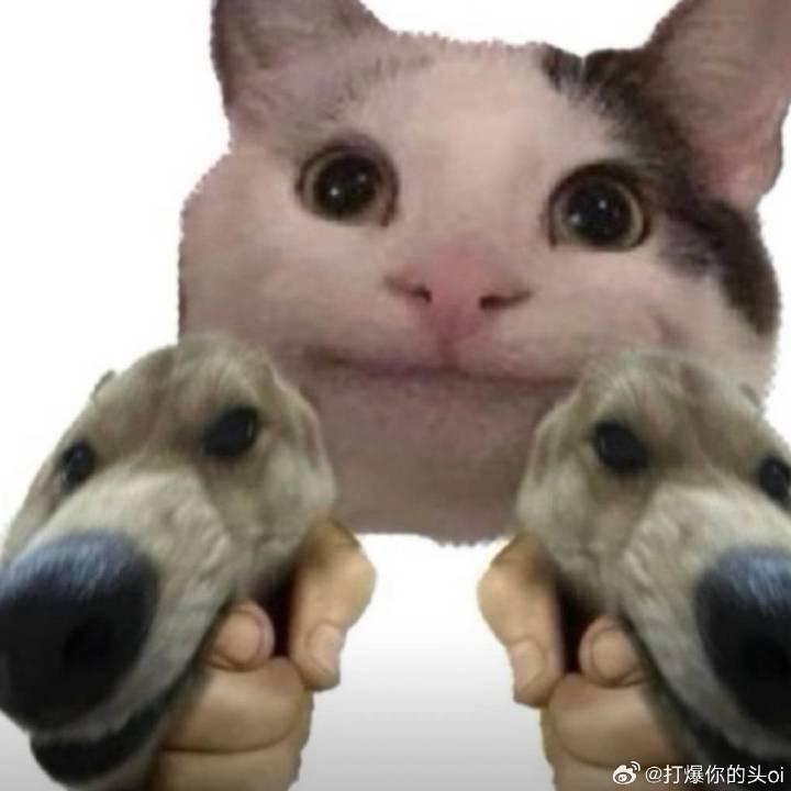 可爱小子（养生版）