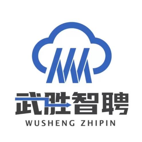武胜智聘
