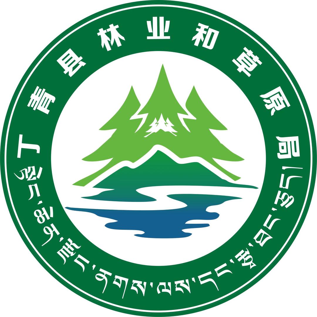 丁青林草