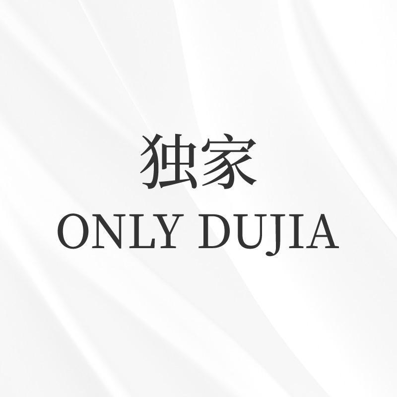 小宋ONLYDUJIA