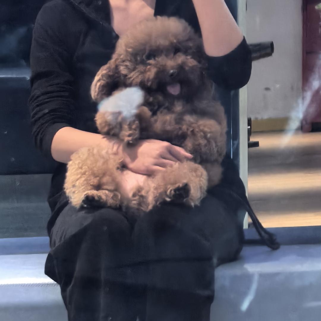 我不想遛狗啊