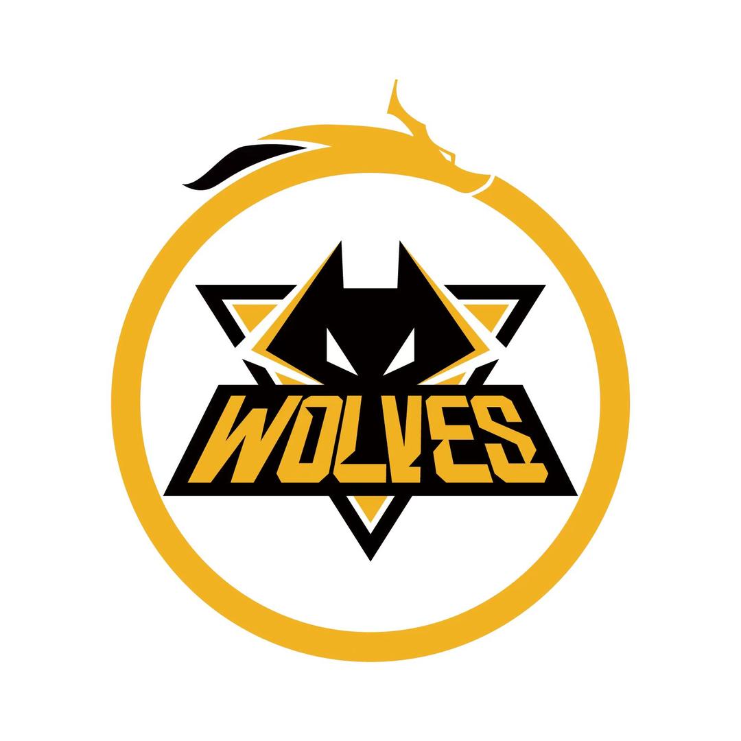 狼队王者荣耀@抖音