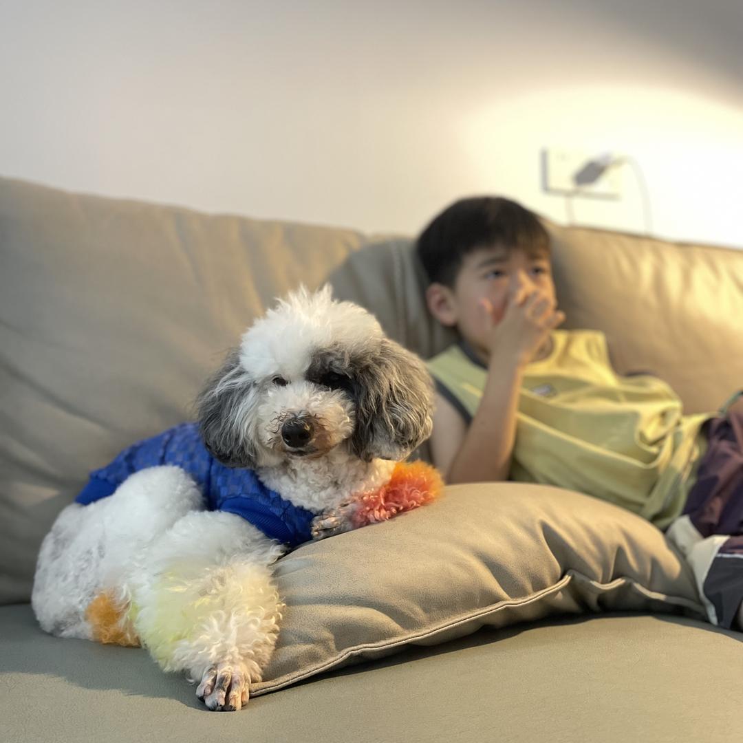 柜姐🐶都不干？我干