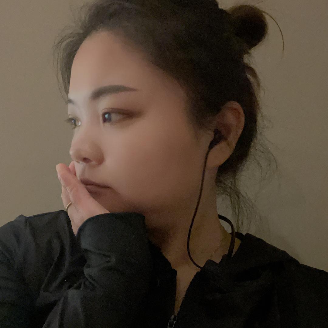 凤凰西街九号电动（楠楠）