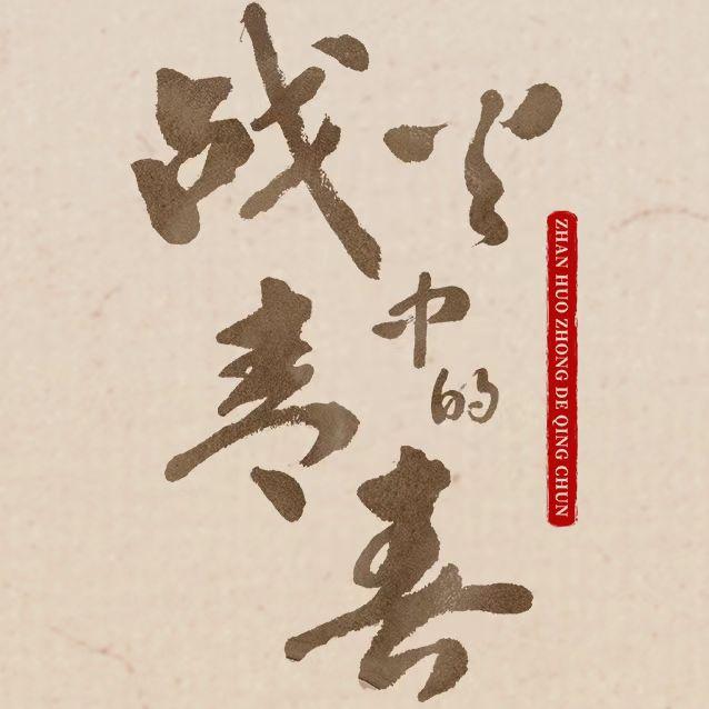 电视剧《战火中的青春》