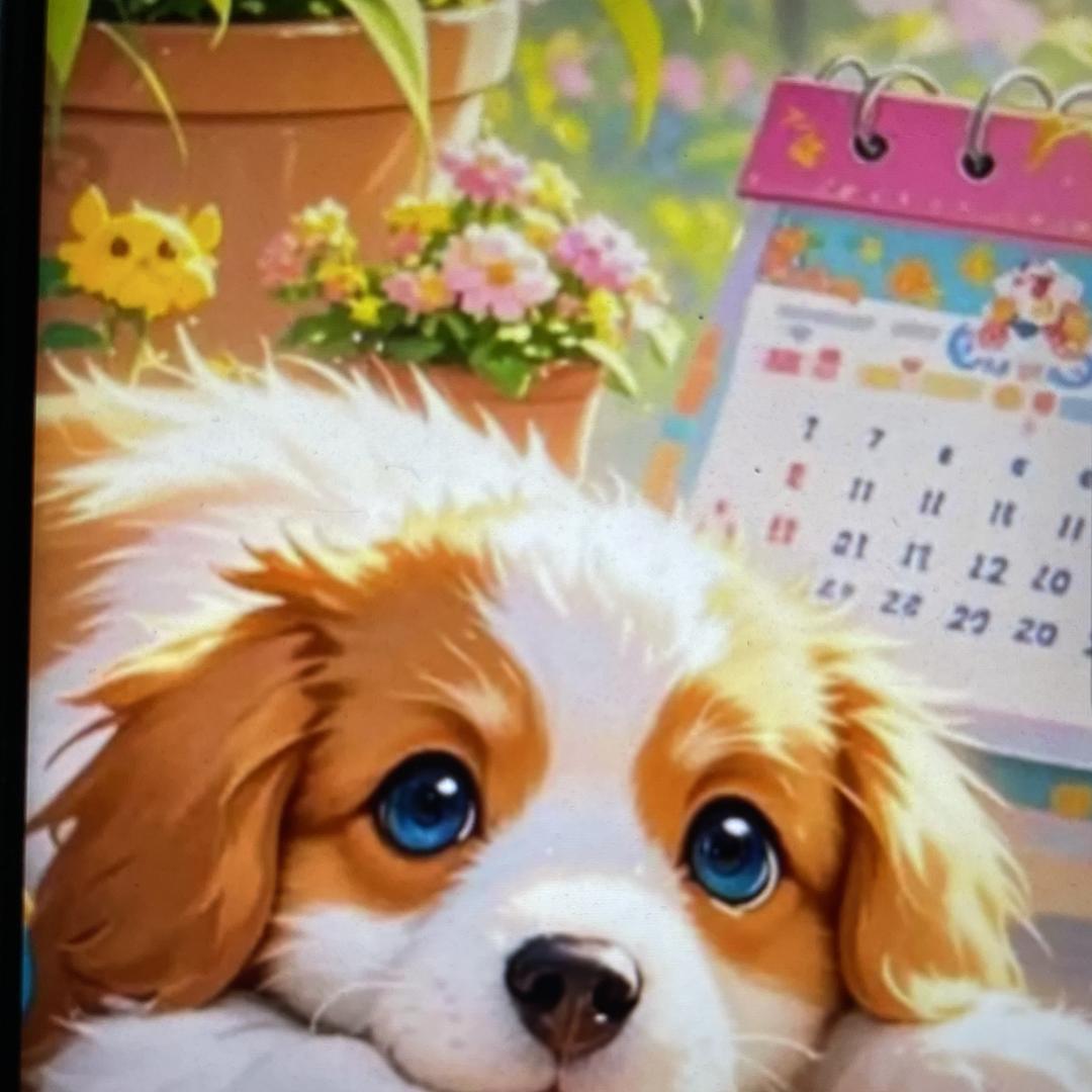 哟欣十号