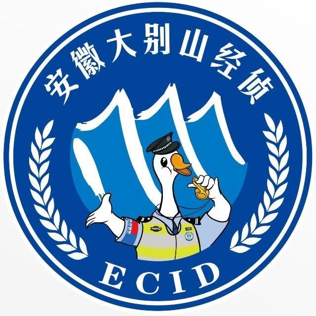 安徽大别山经侦