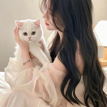 小助理♡ლ