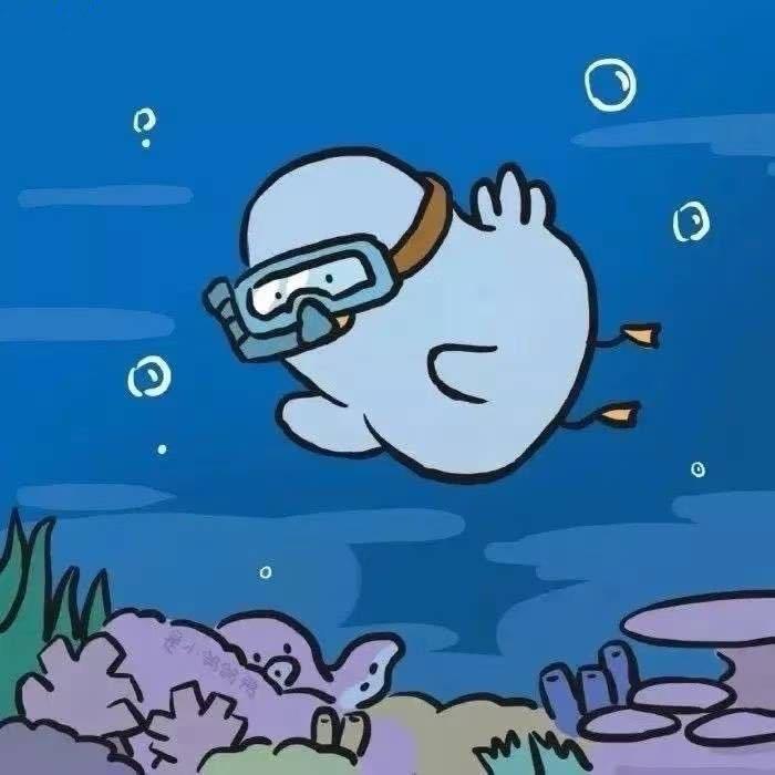 小陈小陈  🐳