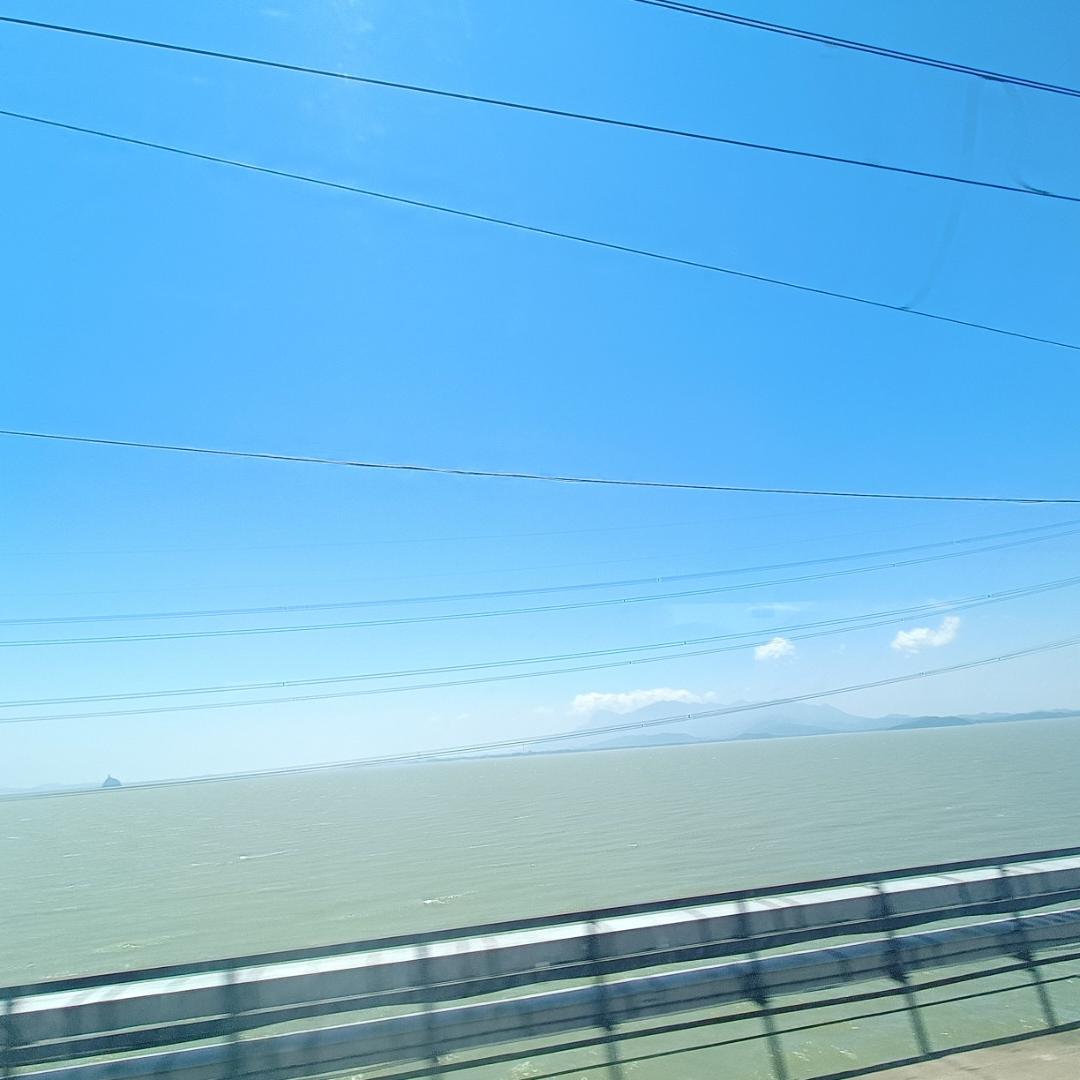 🌈小螺号 滴滴的吹