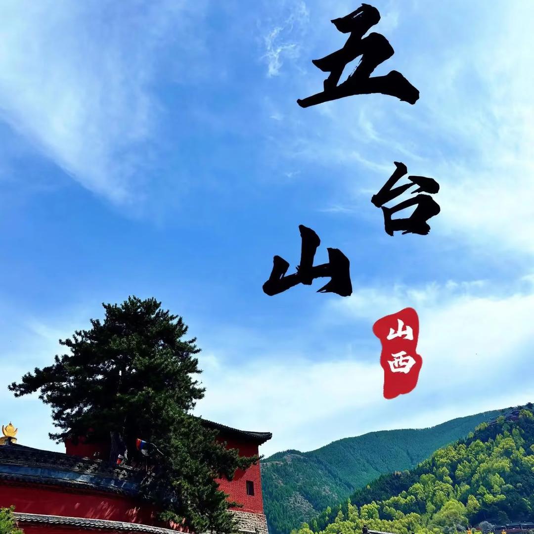 五台山专场直播