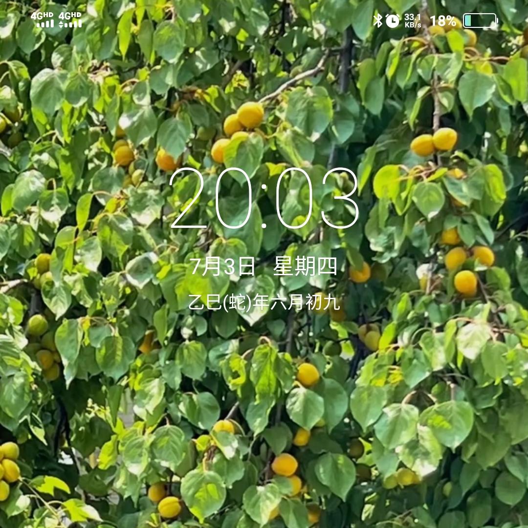 🍎柒🍎