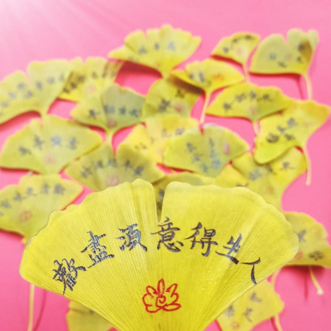 宁晋鸿蒙练字沈老师