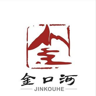 爱上金口河