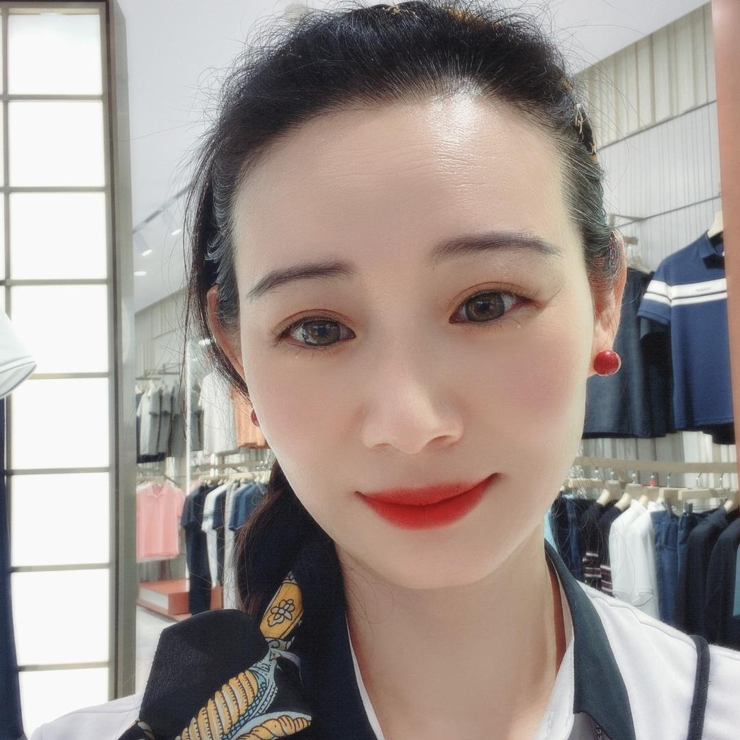 会飞的鸭子