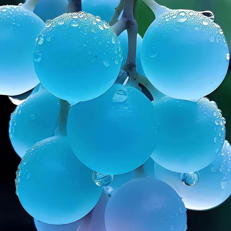 摩天轮上的誓言