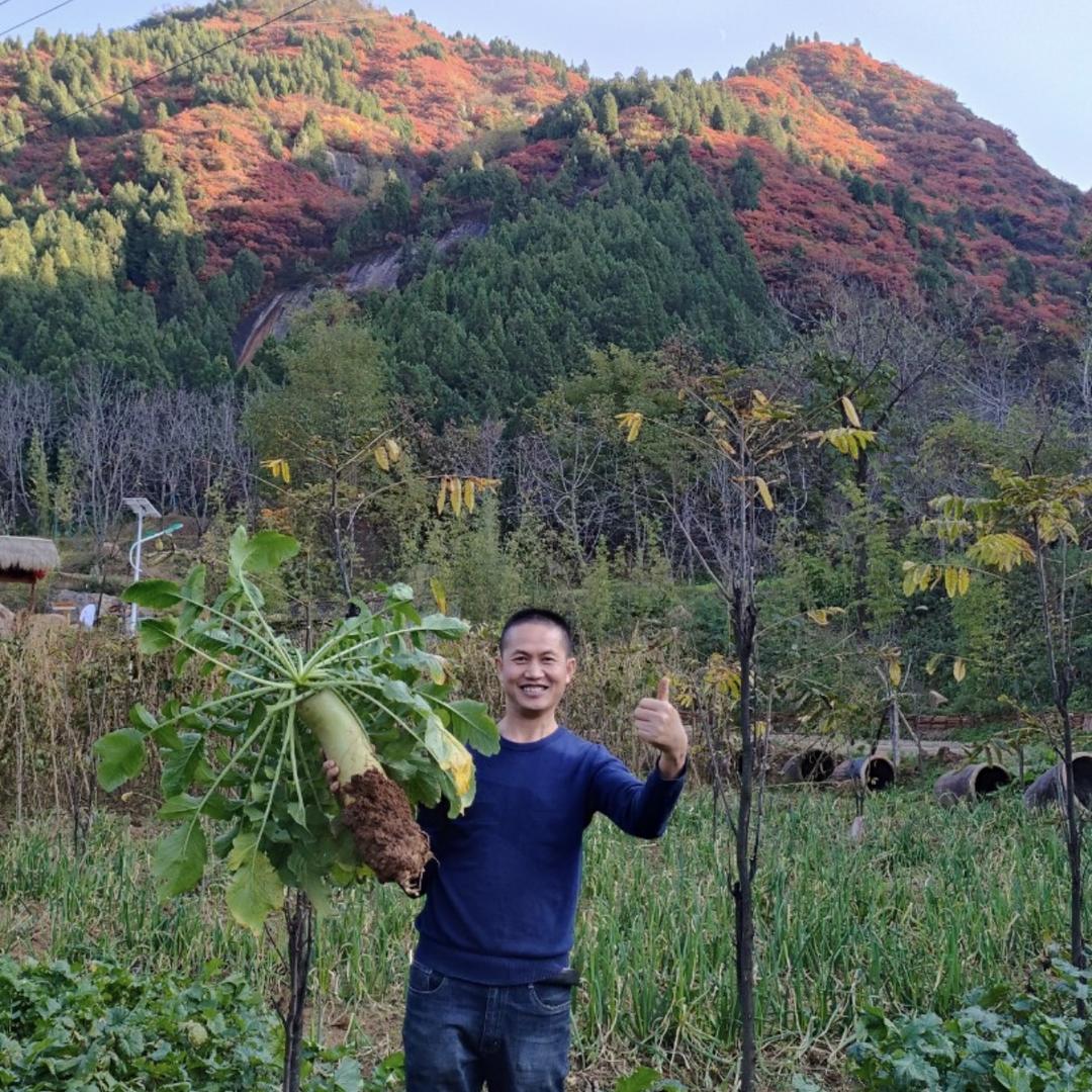 钟秦渝你老火锅钟哥