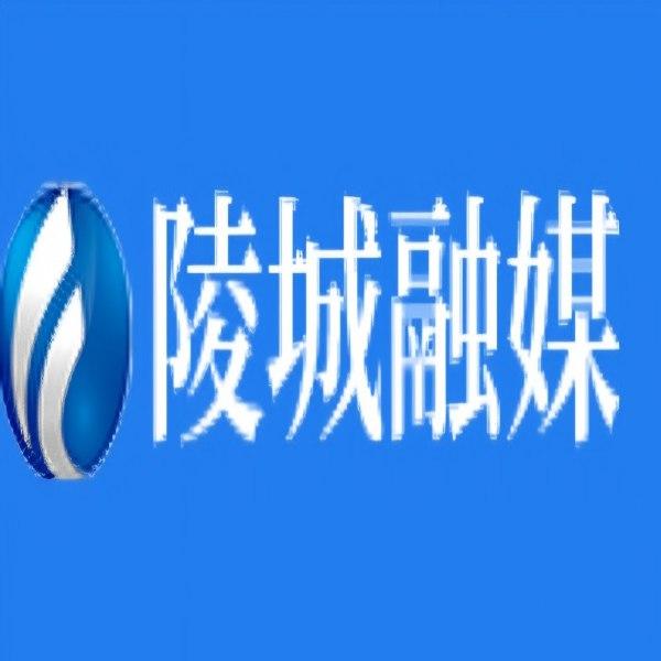 陵城融媒APP