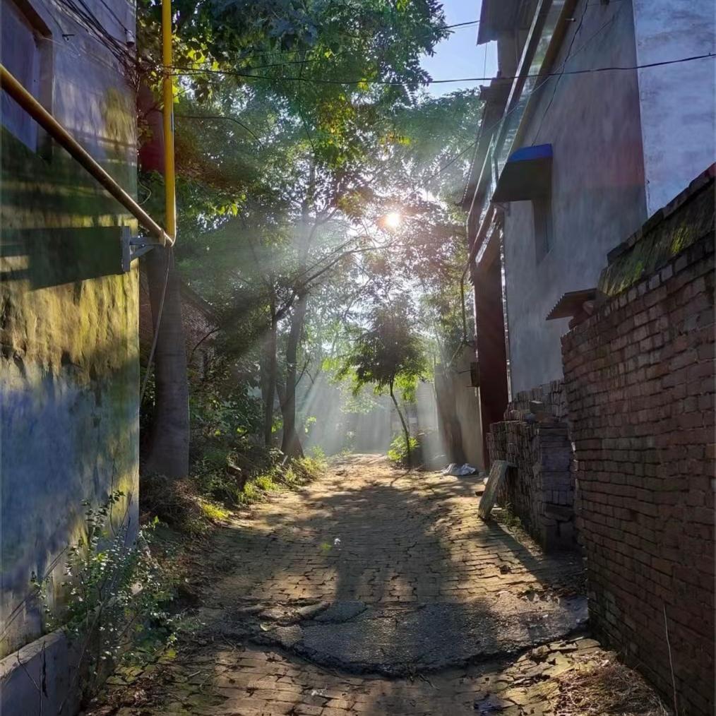 丝丝