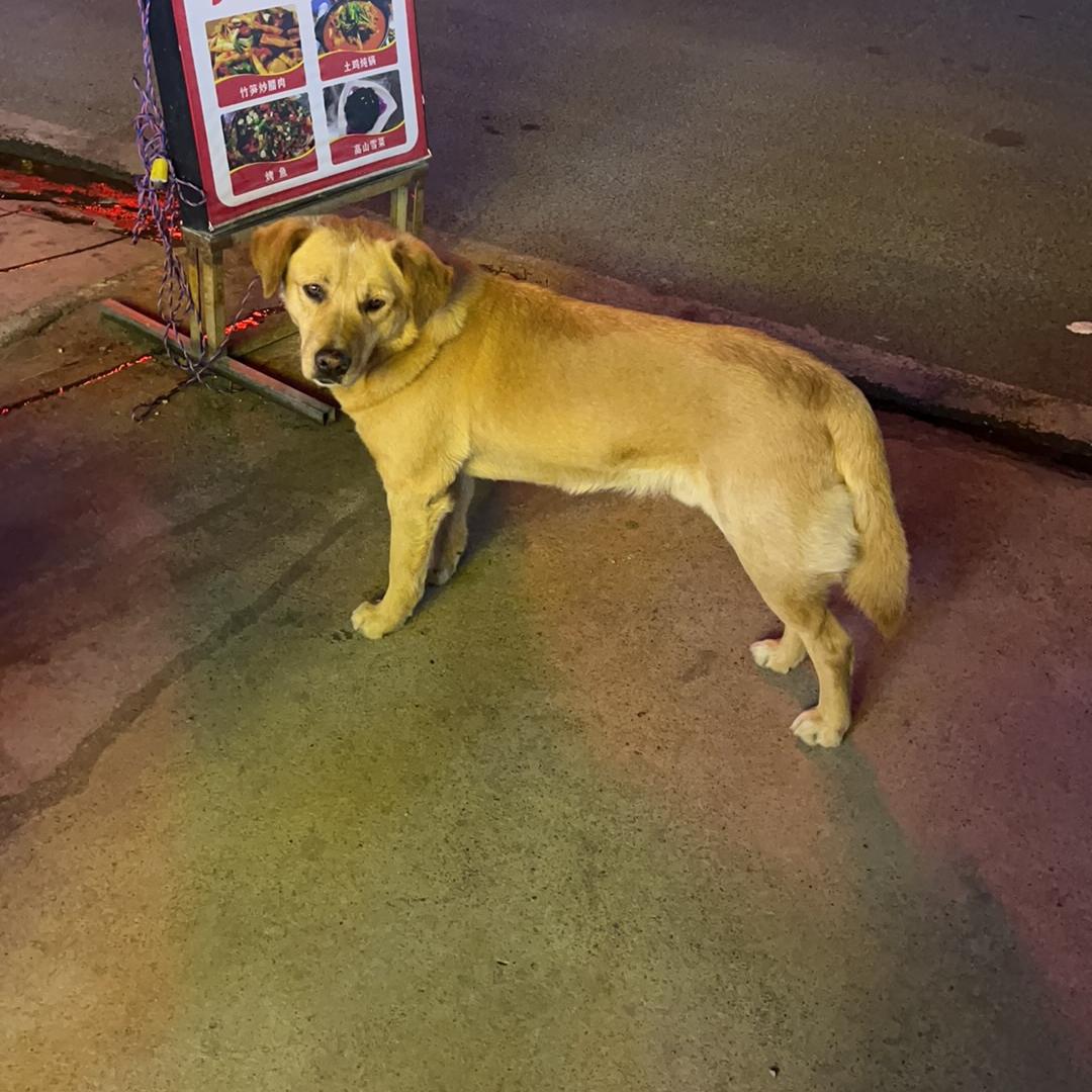 不忘初心nh
