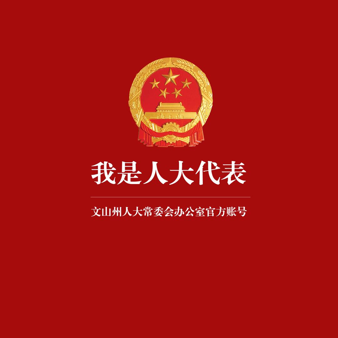 我是人大代表