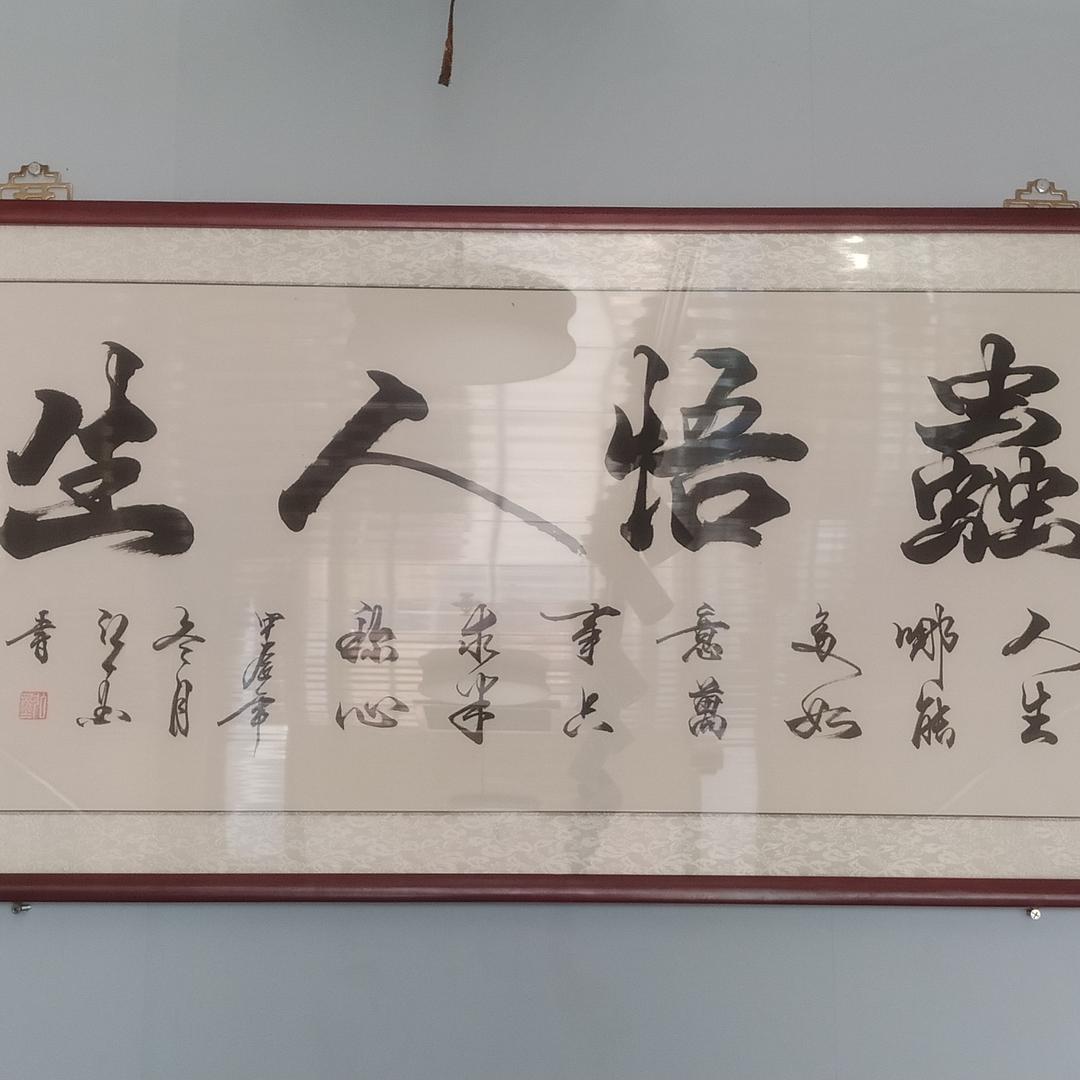 虫悟人生
