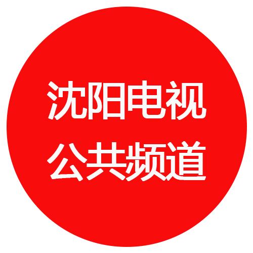 沈阳电视公共频道
