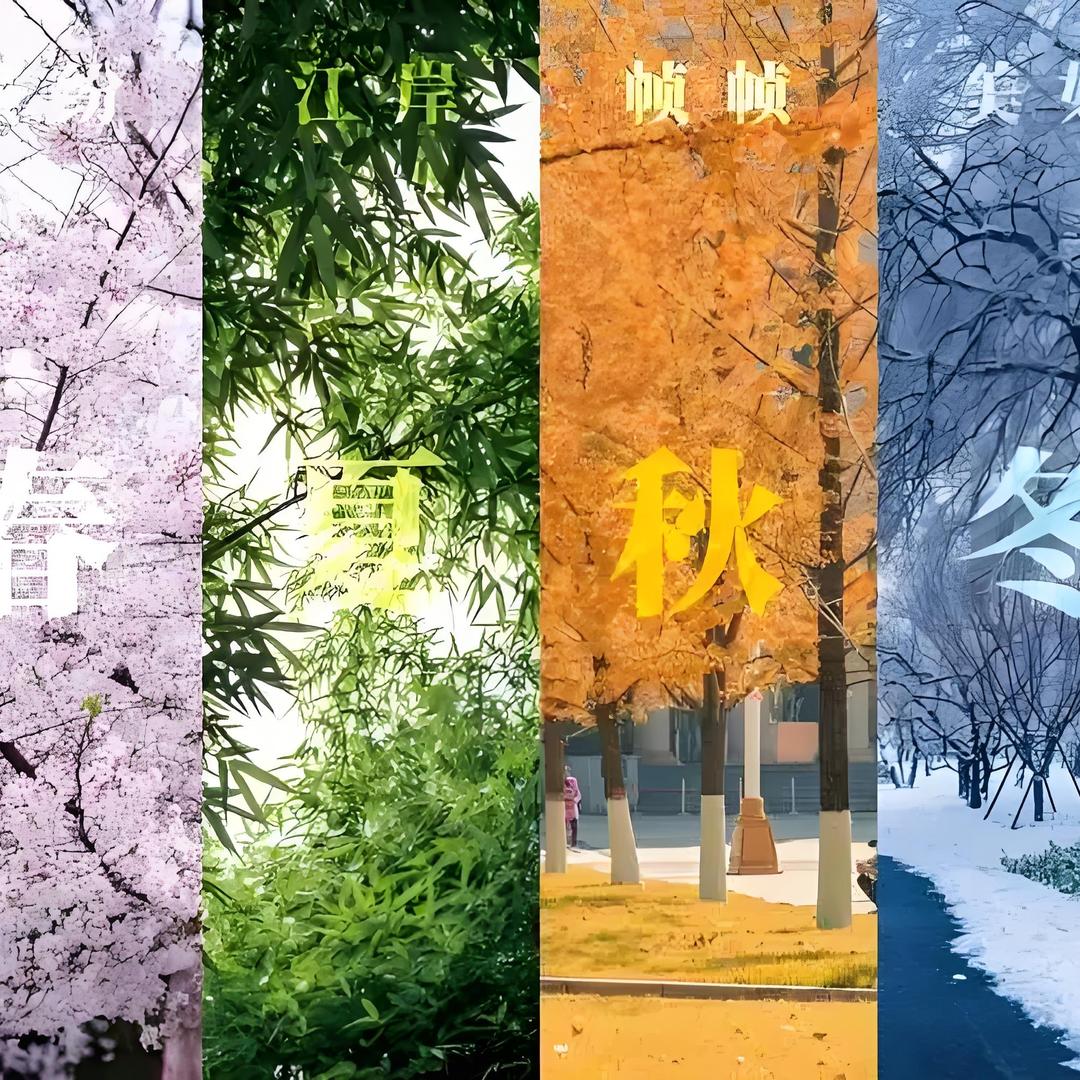 四季团购头像