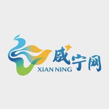 新闻网财经说