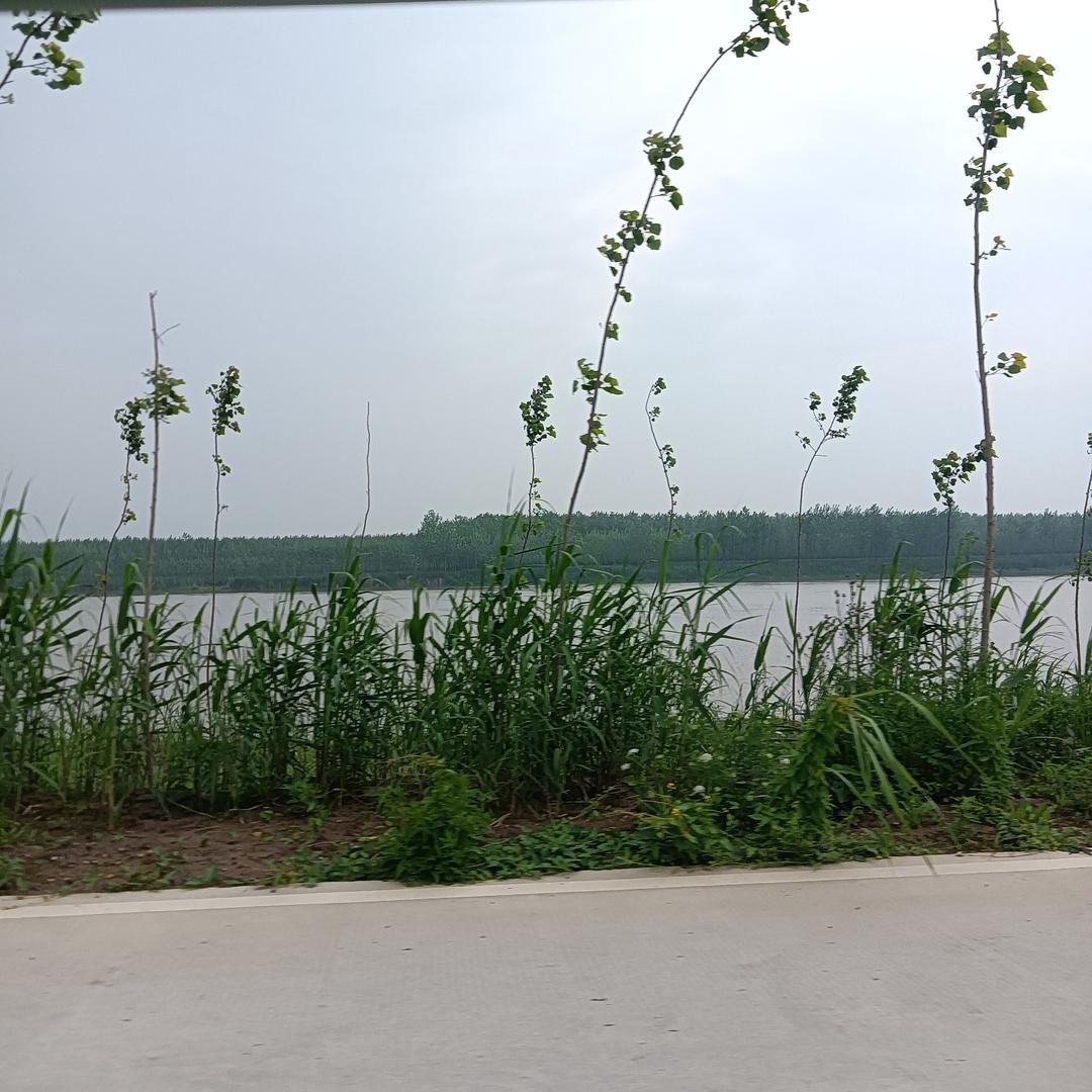 知足常乐!平安是褔!