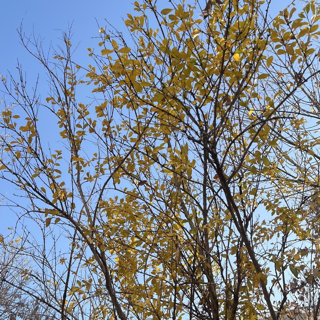 我的大太阳和小⭐辰