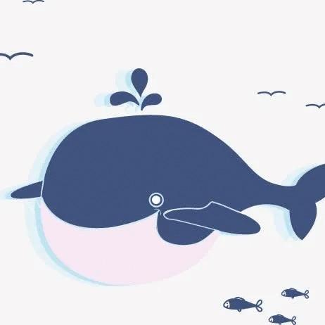 鲸鱼爸爸🐳波波波老师