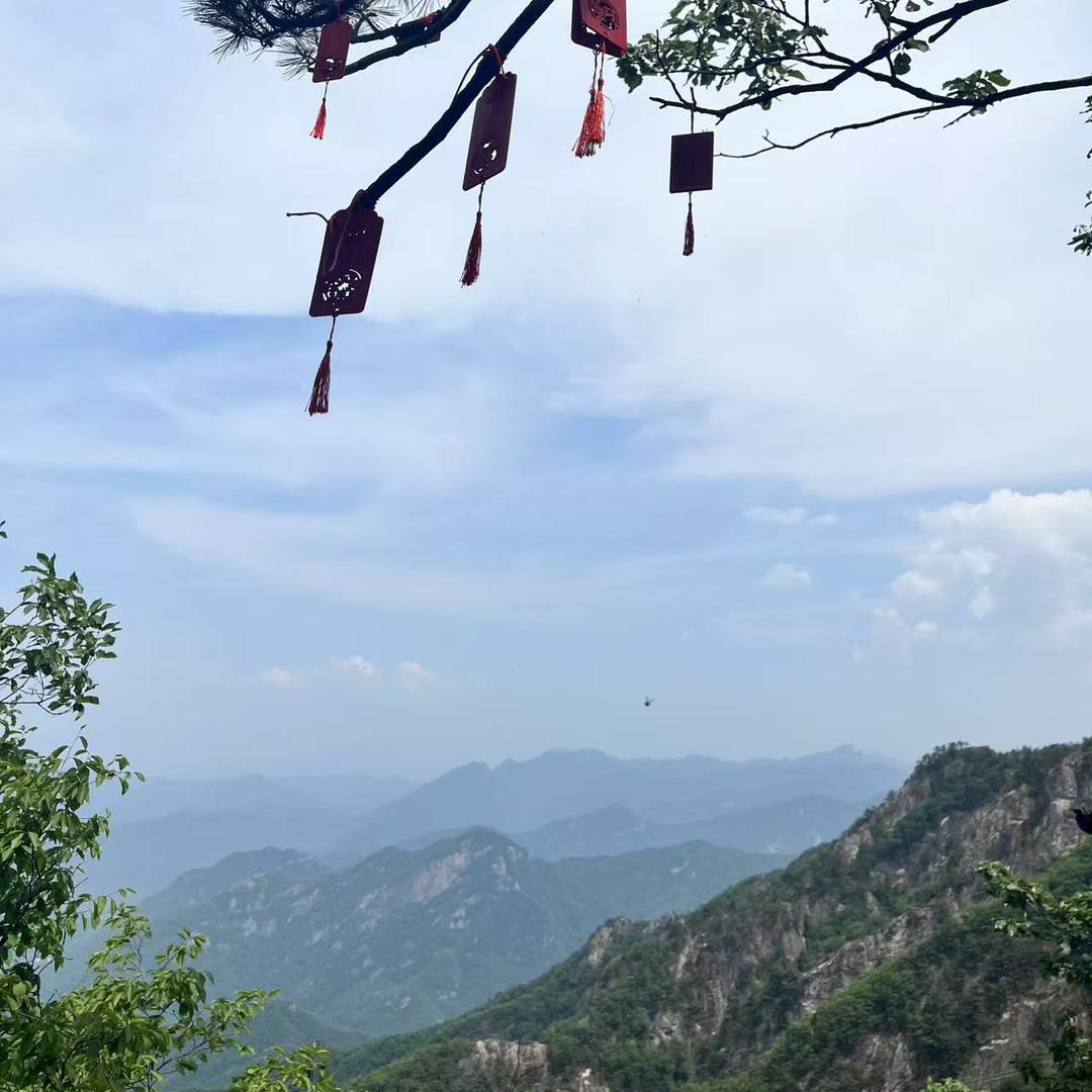 漯河丹尼斯红蜻蜓