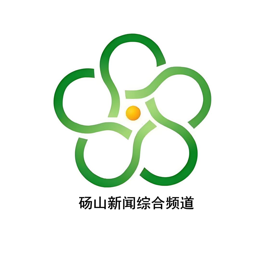 砀山新闻综合频道