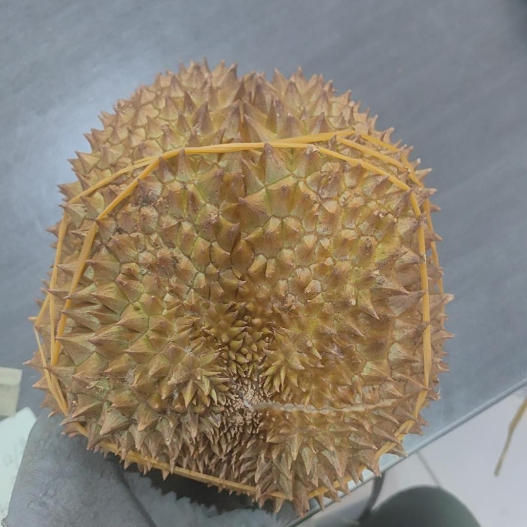 北斗果园生活超市